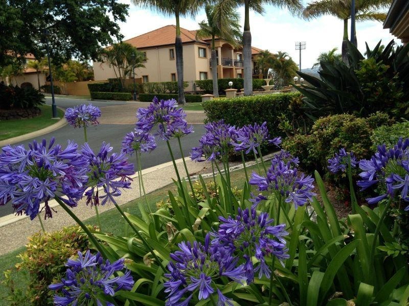 85 Palm Meadows Drive, Carrara QLD 4211