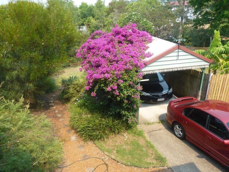 45 Pine Street, Bulimba QLD 4171