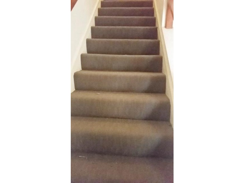 34 Patience St, Cairns QLD 4870