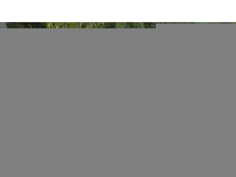 Unit 11/19 Thorn St, Kangaroo Point QLD 4169