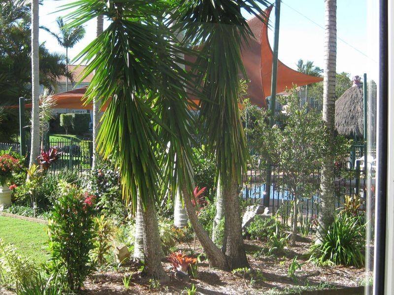 13 Bowden Court, Nerang QLD 4211