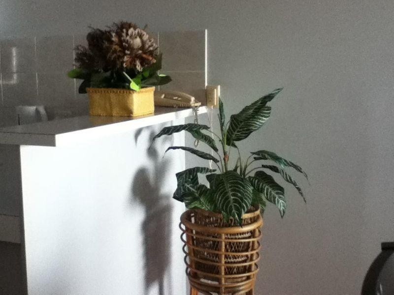 23/42 Duringan Street, Currumbin QLD 4223