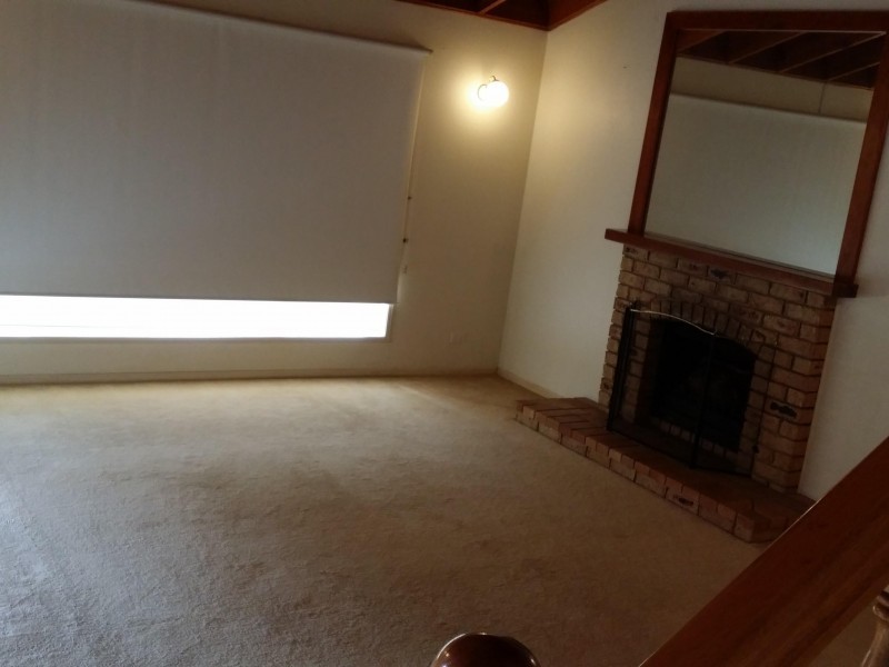 22 Norell Place, Eight Mile Plains QLD 4113