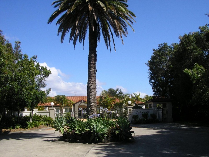 34 ALBICORE ST, Mermaid Waters QLD 4218