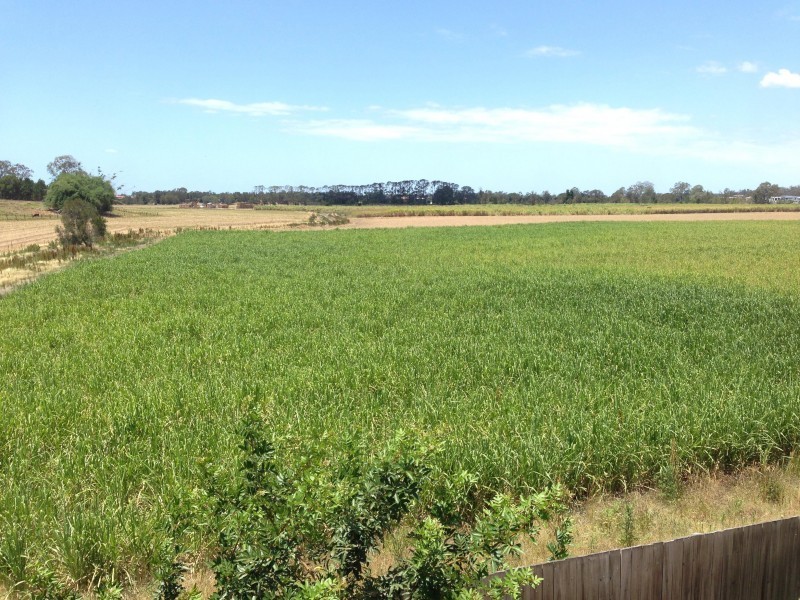 64/60 beattie, Coomera QLD 4209