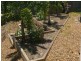 2 Bedivere Drive, Ormeau QLD 4208