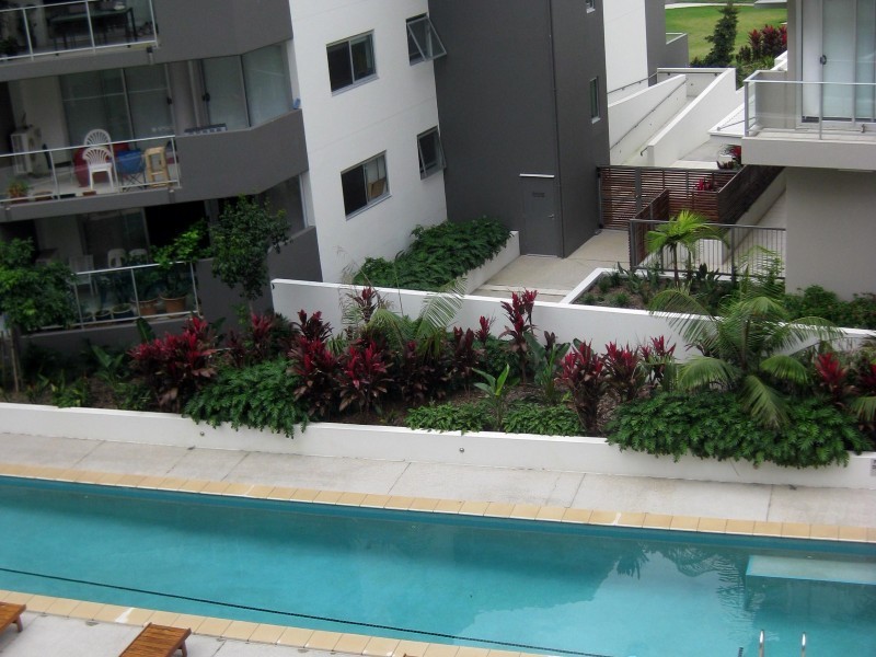 48/101 Clarence Road, Indooroopilly QLD 4068