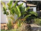 34 Albicore Street, Mermaid Waters QLD 4218