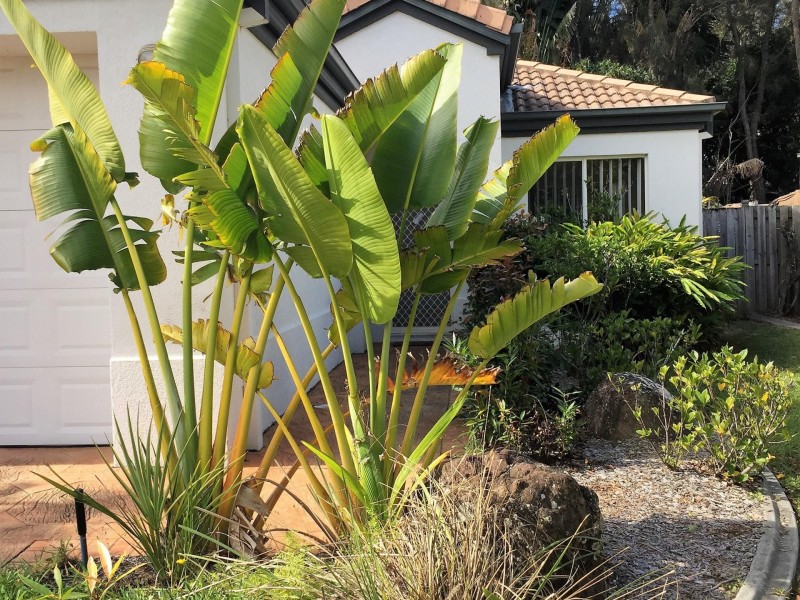 34 Albicore Street, Mermaid Waters QLD 4218