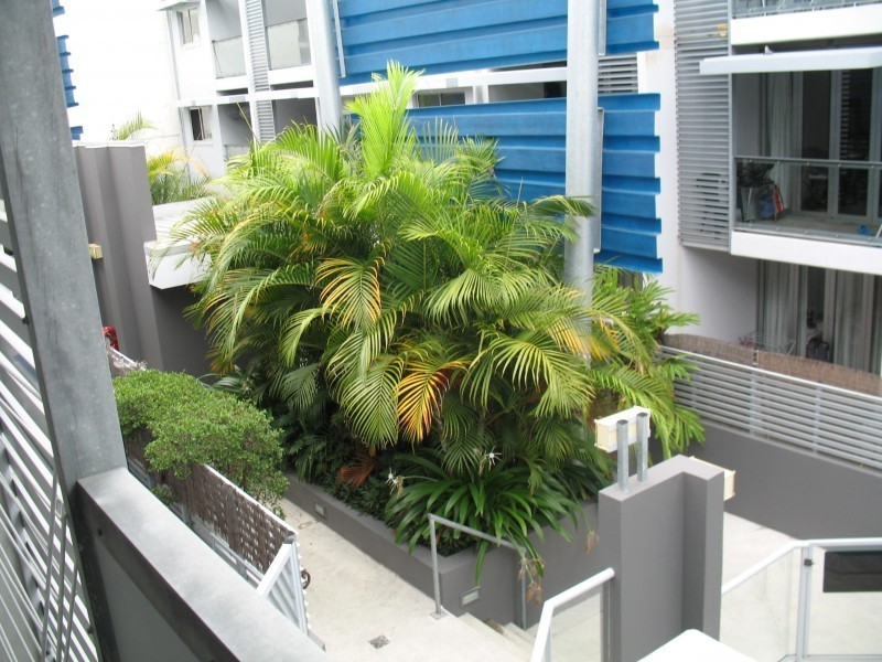 83 Robertson Street, Fortitude Valley QLD 4006