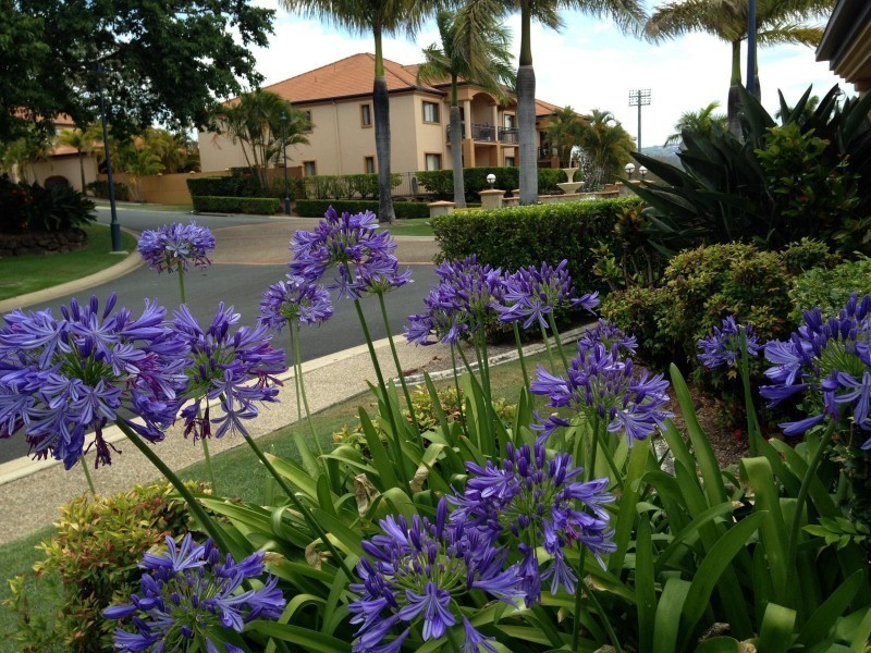 85 Palm Meadows Drive, Carrara QLD 4211