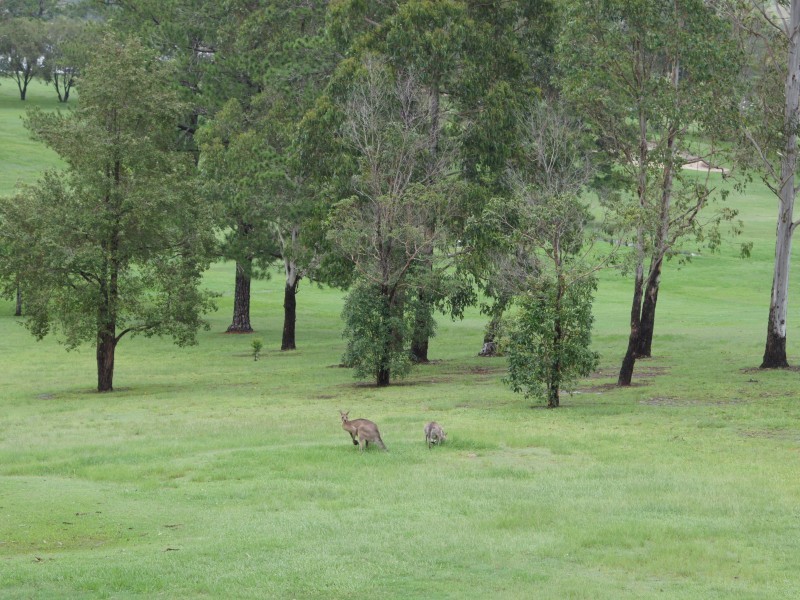 Gympie QLD 4570
