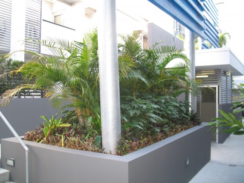 Fortitude Valley QLD 4006