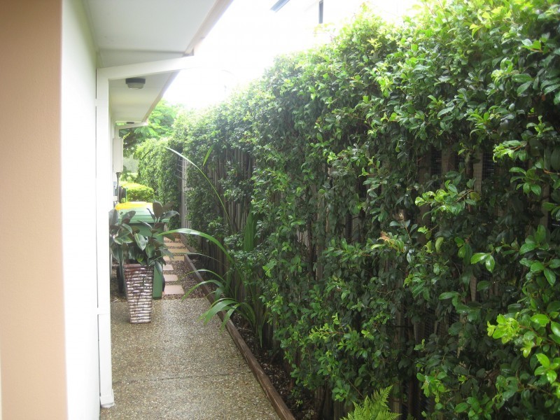 136 Palm Meadows Drive, Carrara QLD 4211