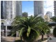 27  Orchid Ave, Surfers Paradise QLD 4217