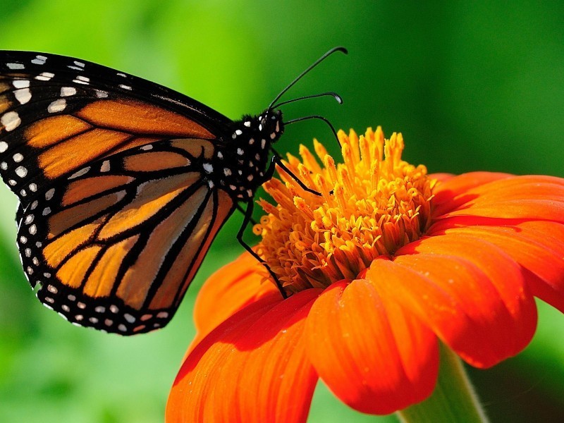 20 ST KEVINS AVE, Benowa QLD 4217