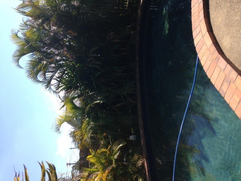 6 MacGroarty Street, Coopers Plains QLD 4108