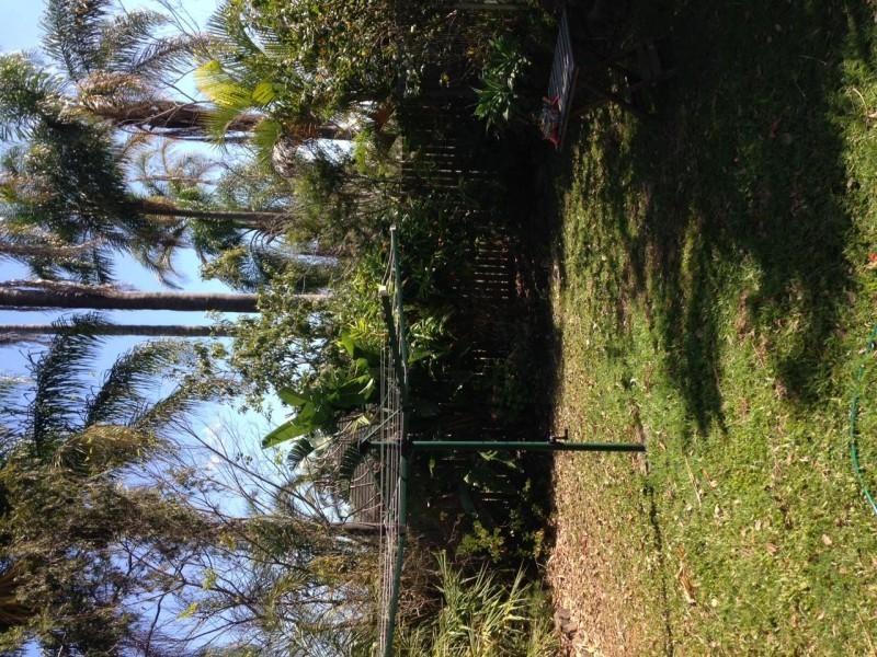 6 MacGroarty Street, Coopers Plains QLD 4108