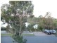 1 Moyenne Crescent, Varsity Lakes QLD 4227