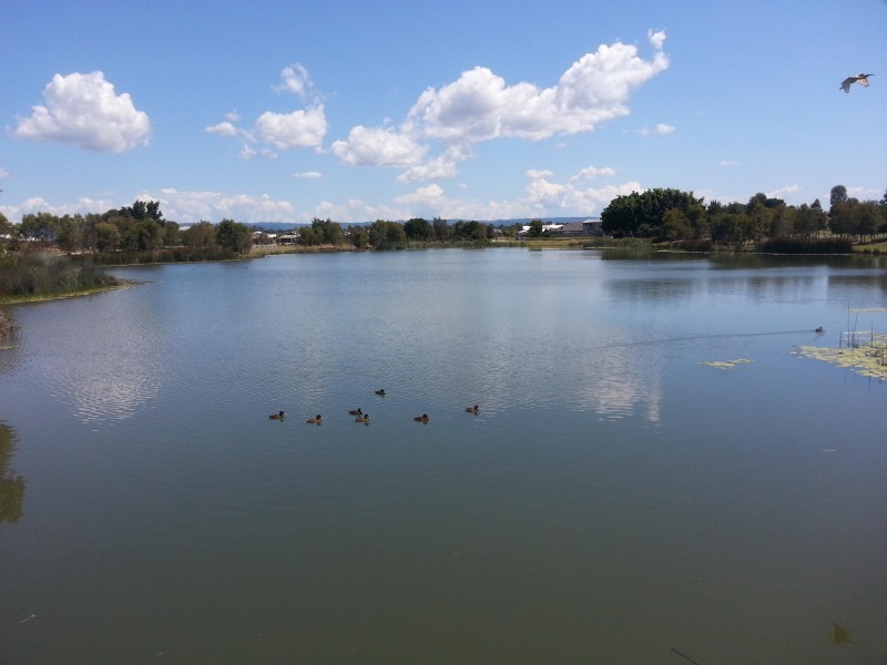 42 Bluestar circuit, Caboolture QLD 4510