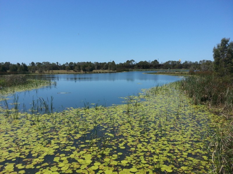 42 Bluestar circuit, Caboolture QLD 4510
