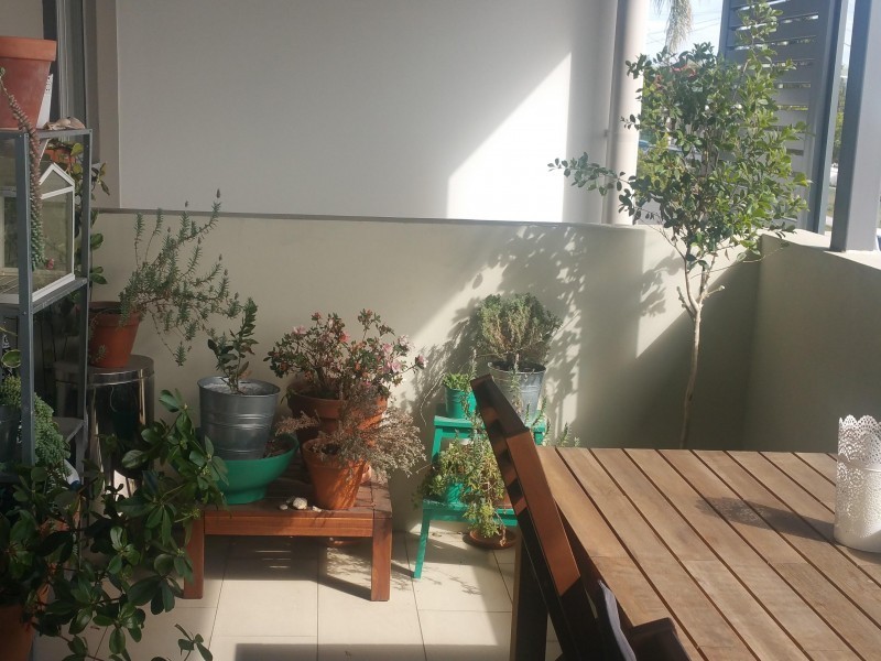 151 Annerley Road, Dutton Park QLD 4102