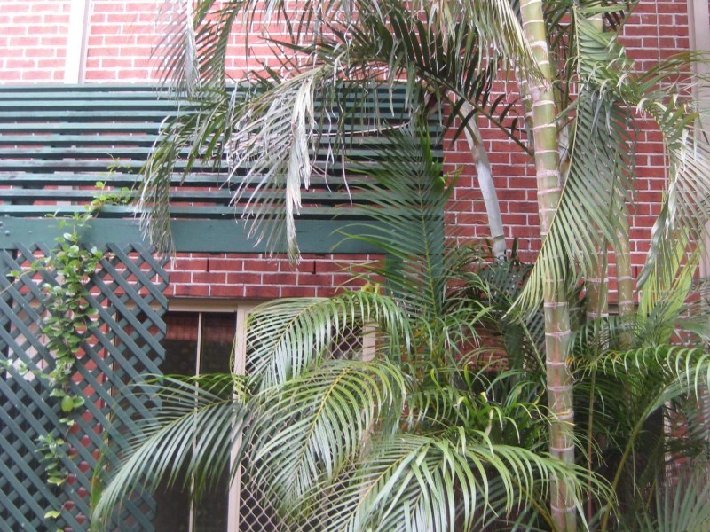 Bundall QLD 4217