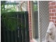Bundall QLD 4217