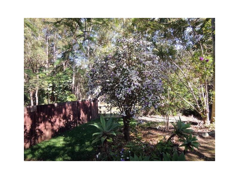 59 Ridgeway Avenue, Southport QLD 4215