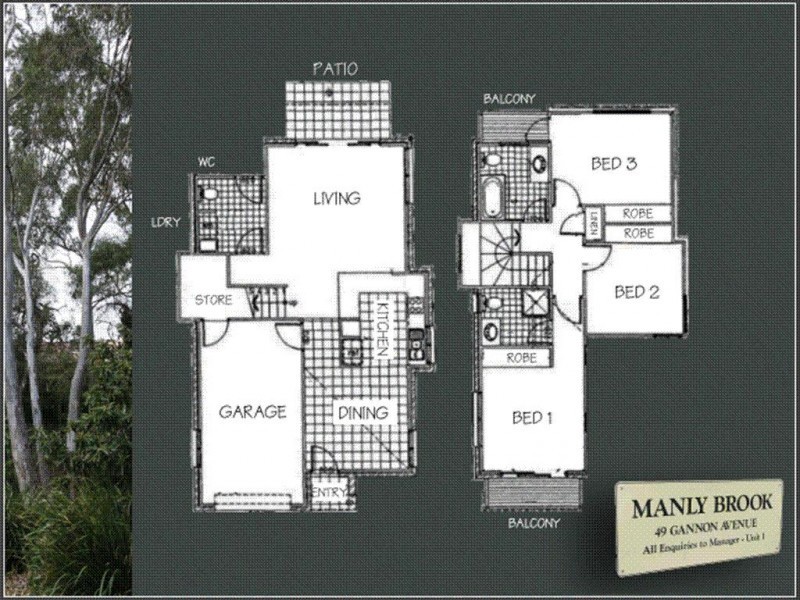 49 Gannon Avenue, Manly QLD 4179