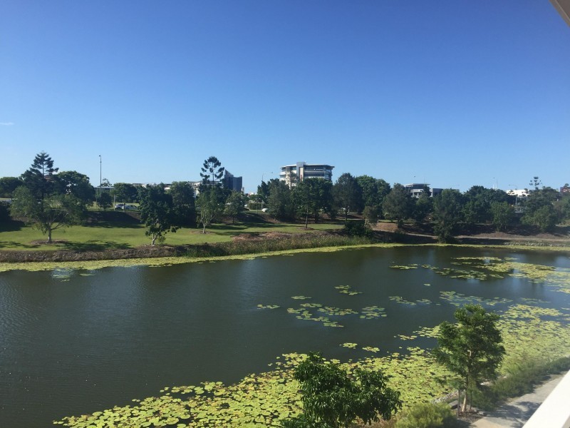 61 Parnell Blv, Robina QLD 4226