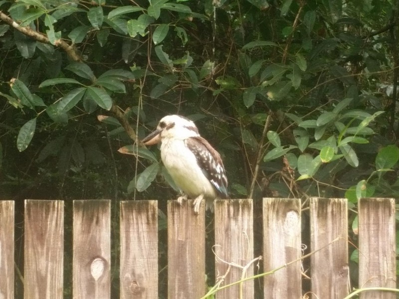 189-201  Mayers Street, Cairns QLD 4870