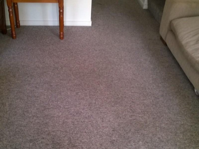 22 Dasyure Place, Wynnum West QLD 4178