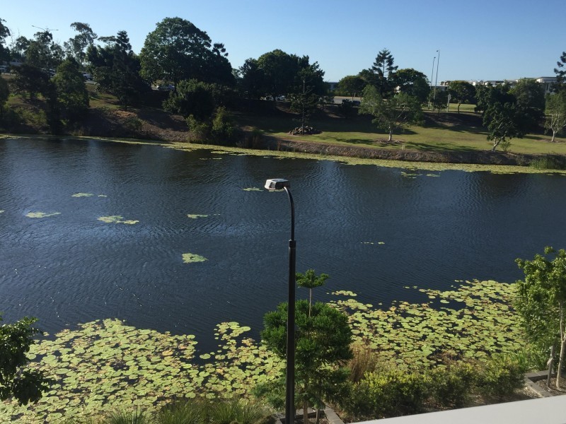 63 Parnell Blv, Robina QLD 4226
