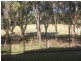175 North Hill Drive, Robina QLD 4226