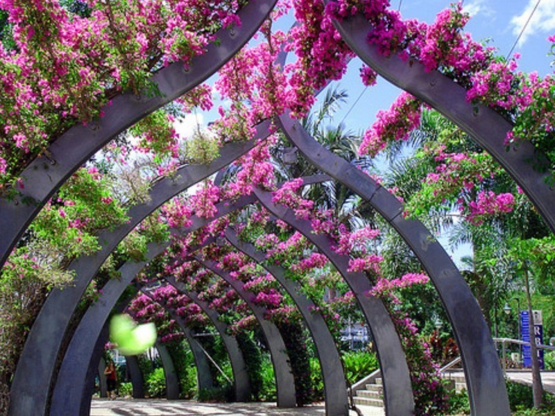 15 Tribune, South Brisbane QLD 4101