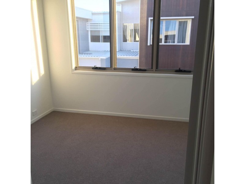 16 Evergreen View, Robina QLD 4226