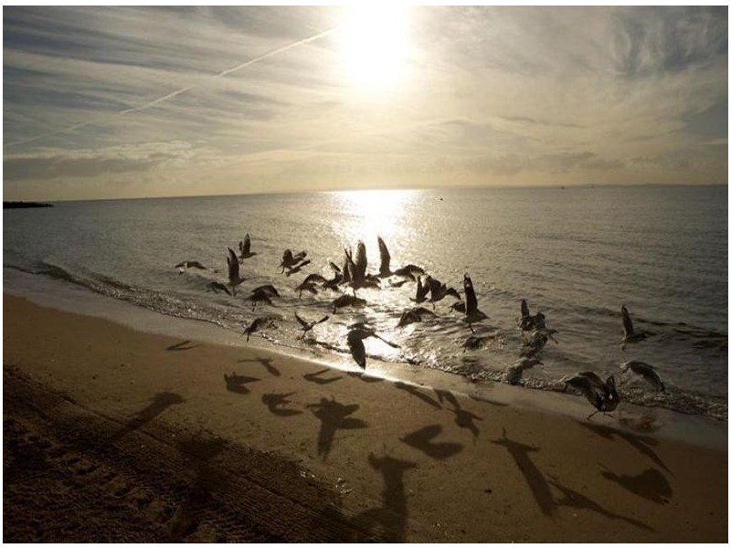 Apartment 33/113 Landsborough Ave, Scarborough QLD 4020