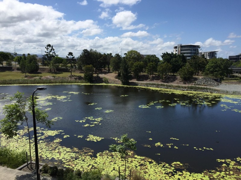 @ Parnell Blv, Robina QLD 4226