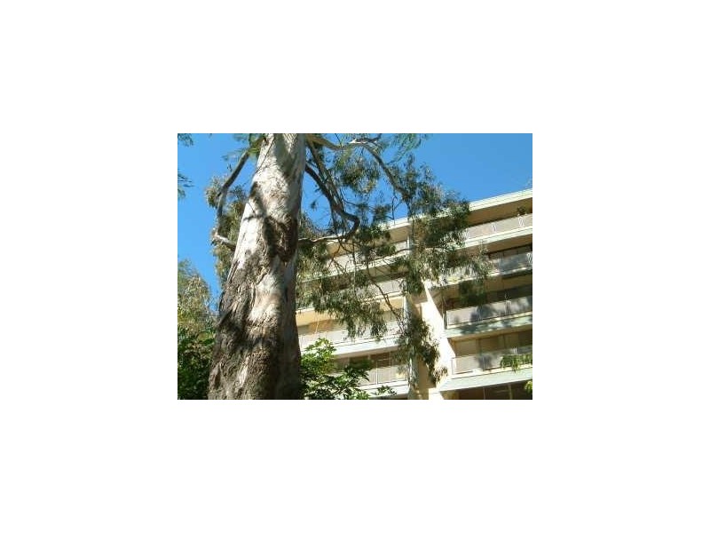 12/146 MACQUAIRE STREET, St Lucia QLD 4067