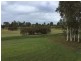 Burleigh Waters QLD 4220