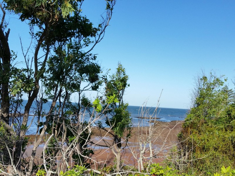 137 Landsborough Ave, Scarborough QLD 4020