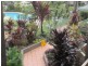 Bilinga QLD 4225