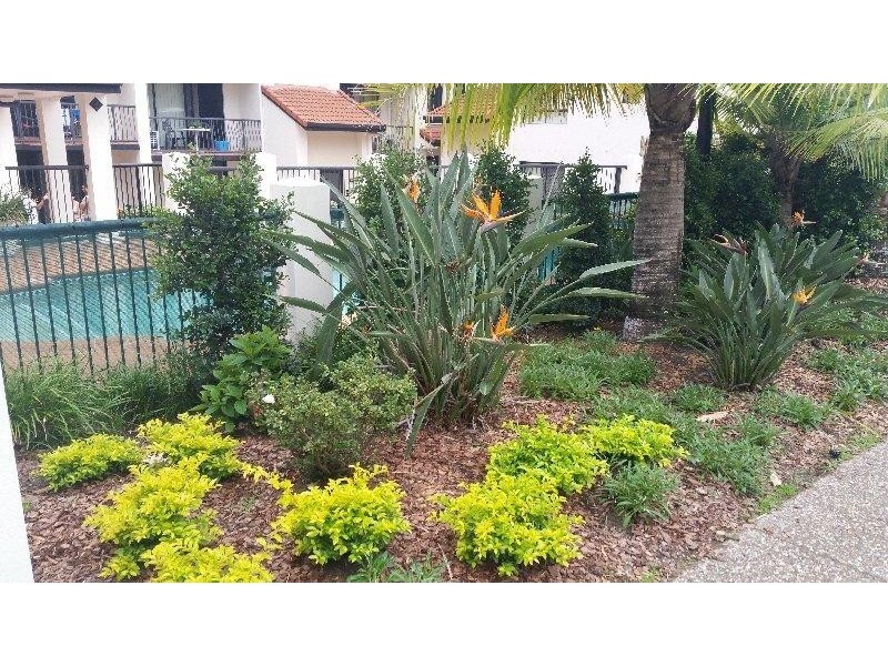 3/11-15 Owens Lane, Southport QLD 4215