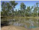 1984 Tara-Kogan Road, Tara QLD 4421