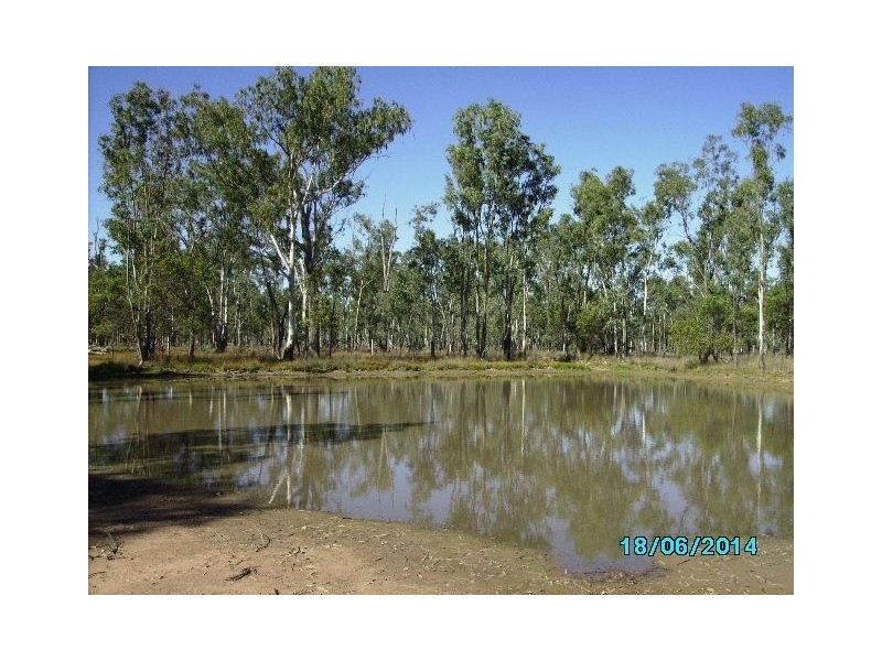 1984 Tara-Kogan Road, Tara QLD 4421