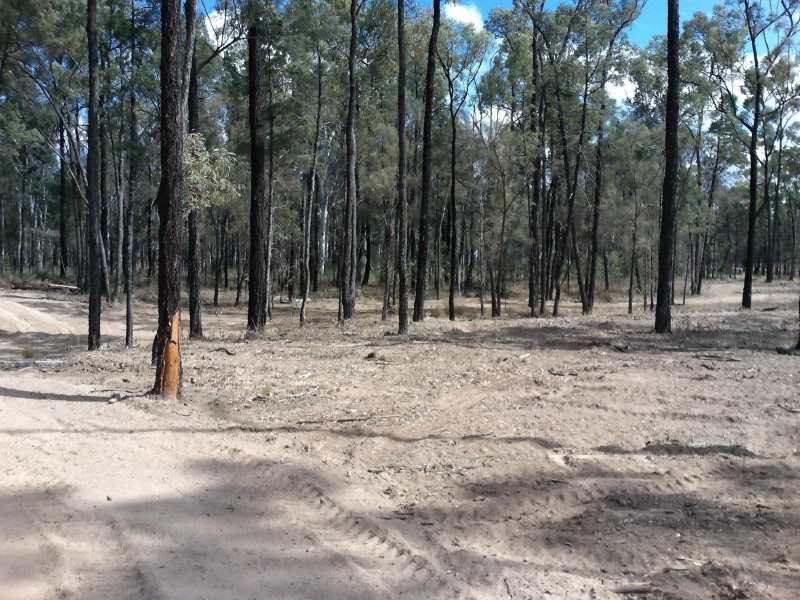 1630 Auburn Road, Chinchilla QLD 4413