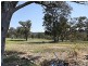 128 Fashions Mount Road, Mumbil NSW 2820