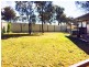 128 Fashions Mount Road, Mumbil NSW 2820