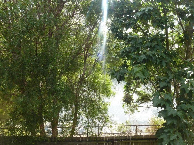 102 Alexander Drive, Highland Park QLD 4211